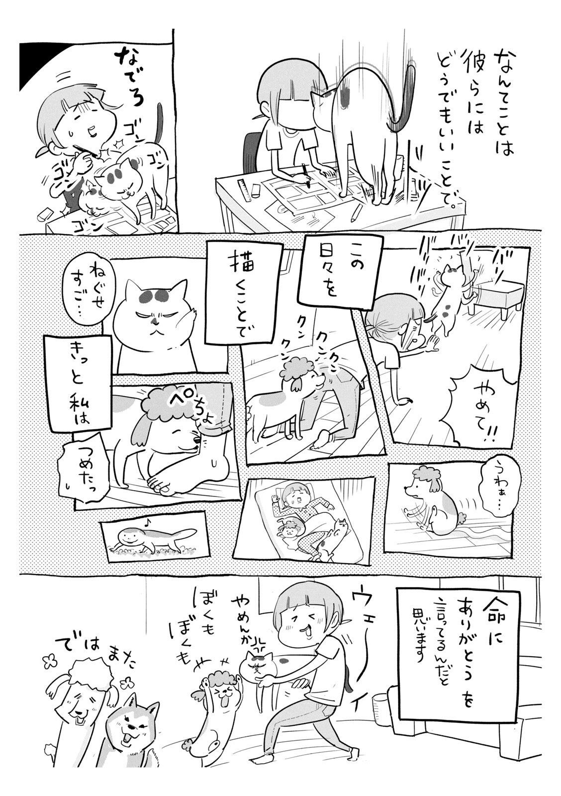 P53