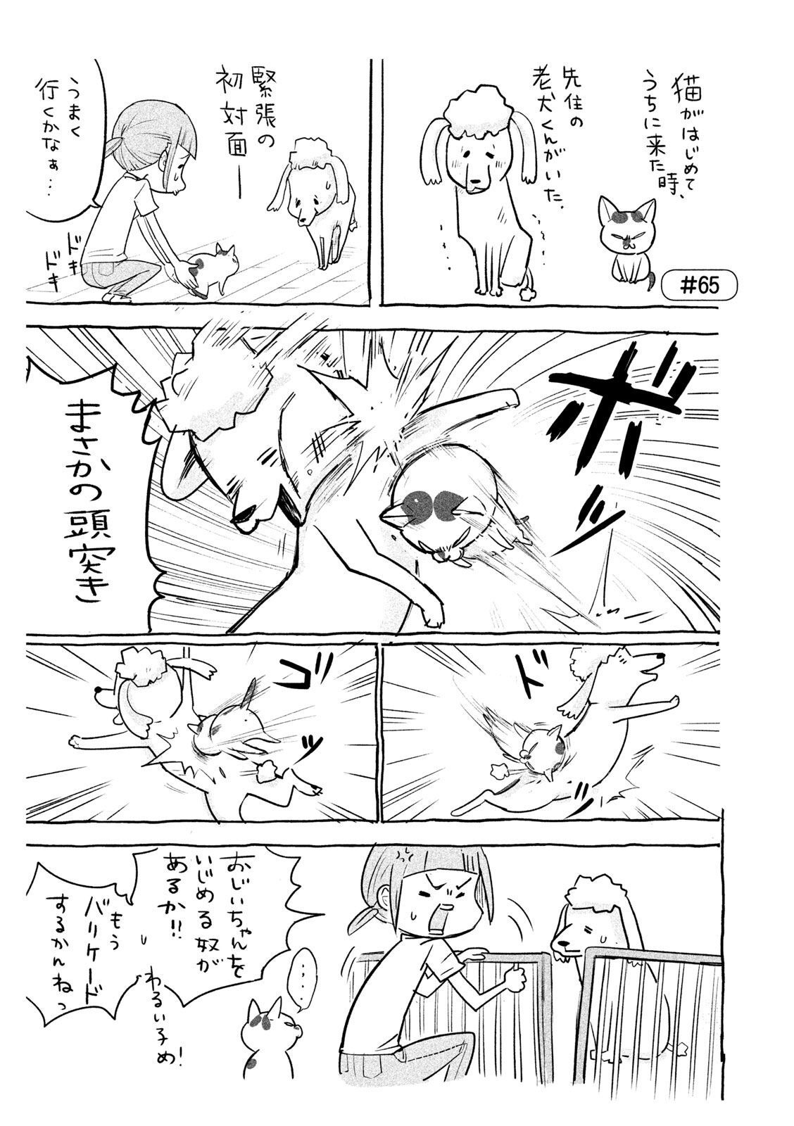 P36