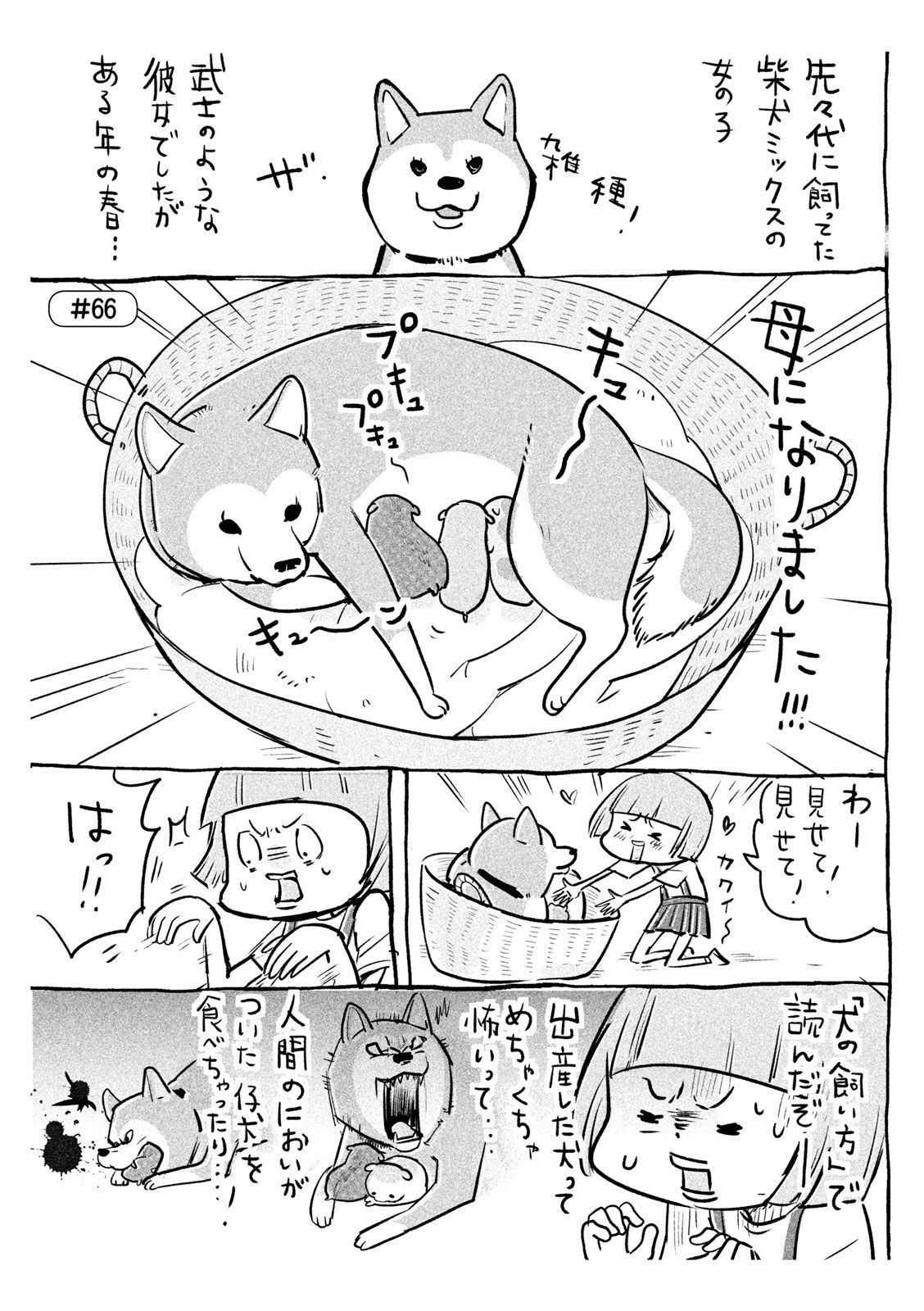 P38
