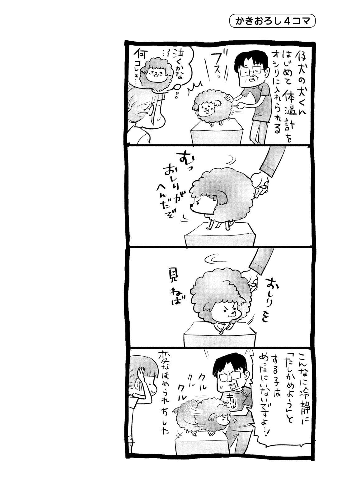 P40