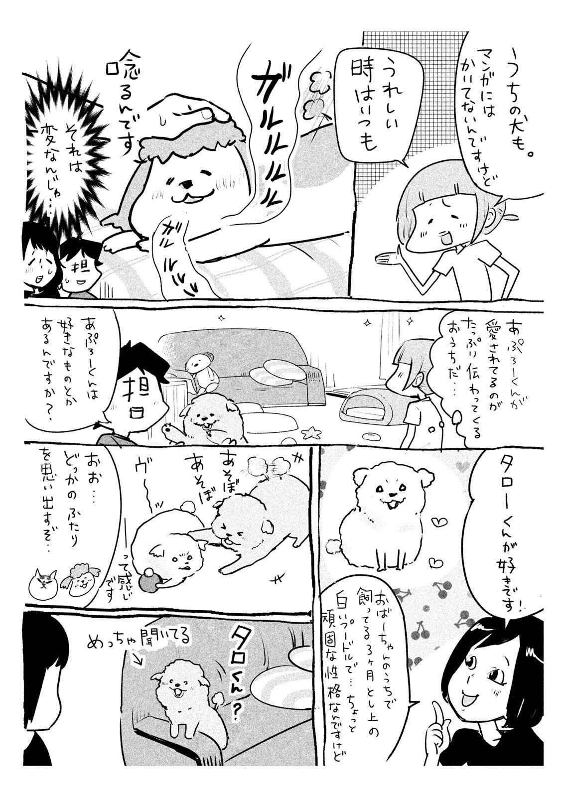 P43