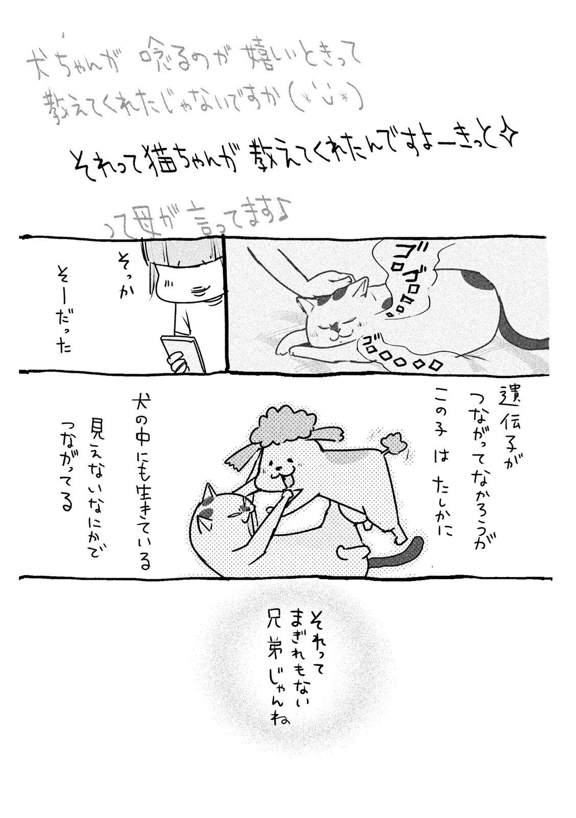P46