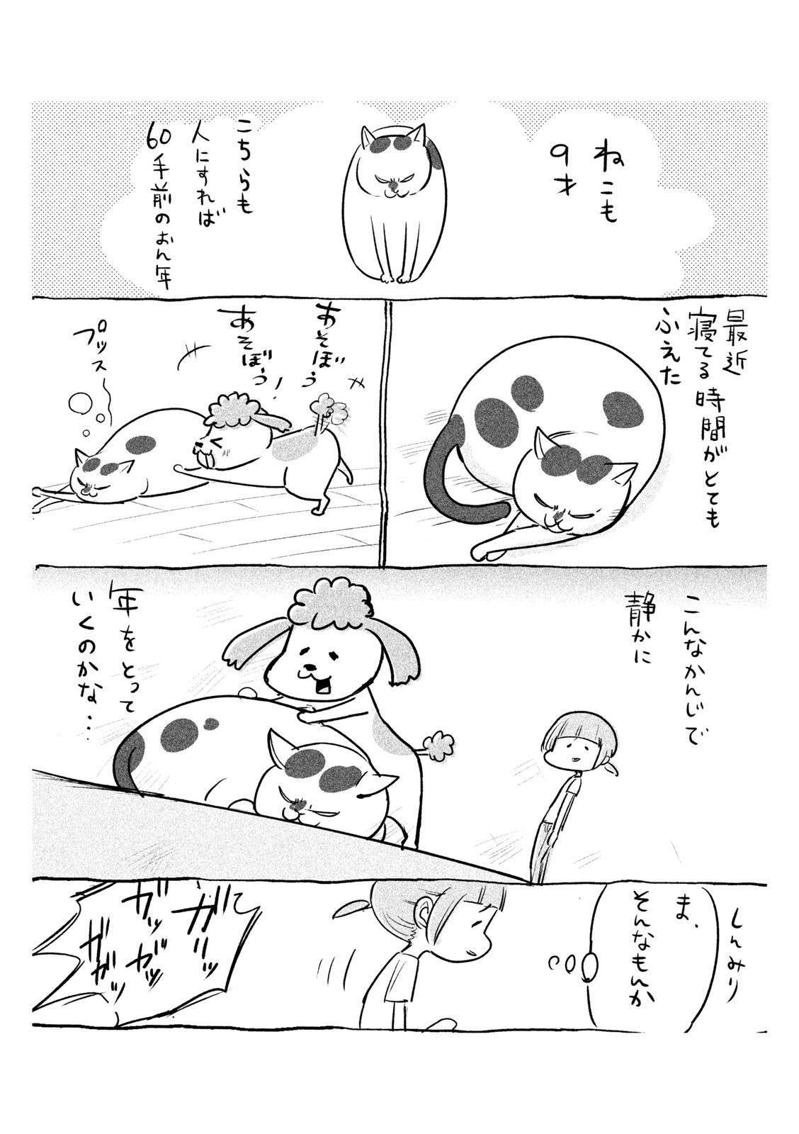 P49