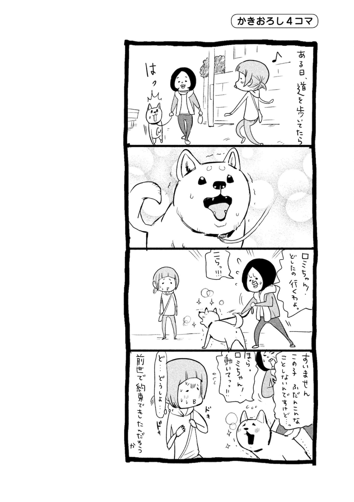 P41