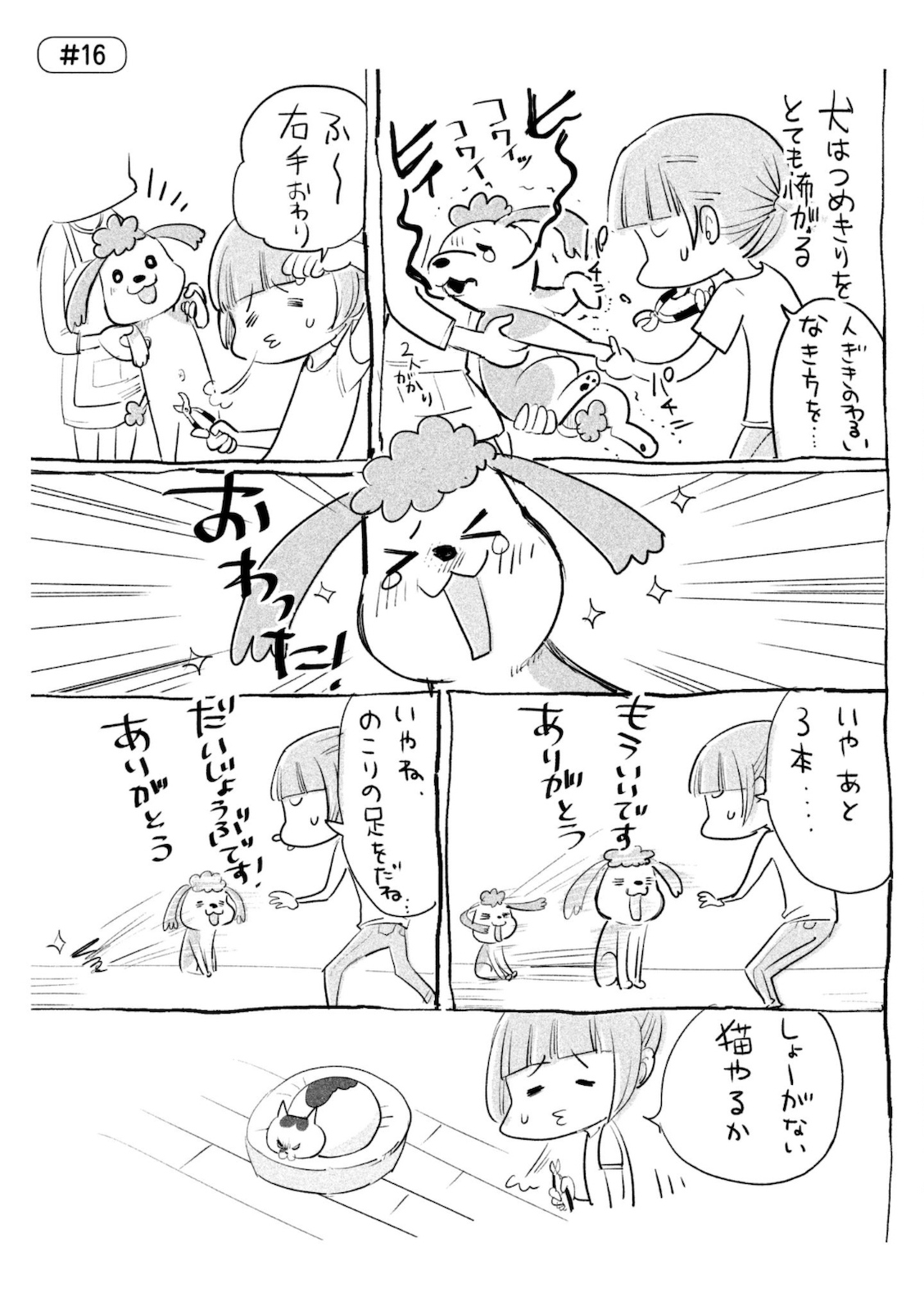 P42