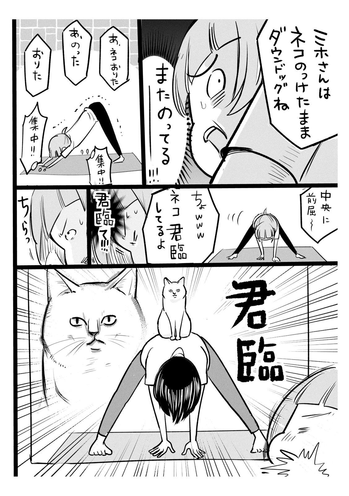 P31