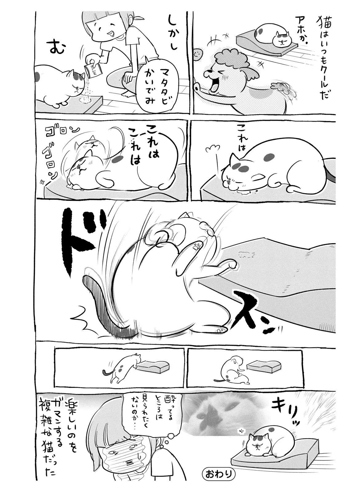 P39
