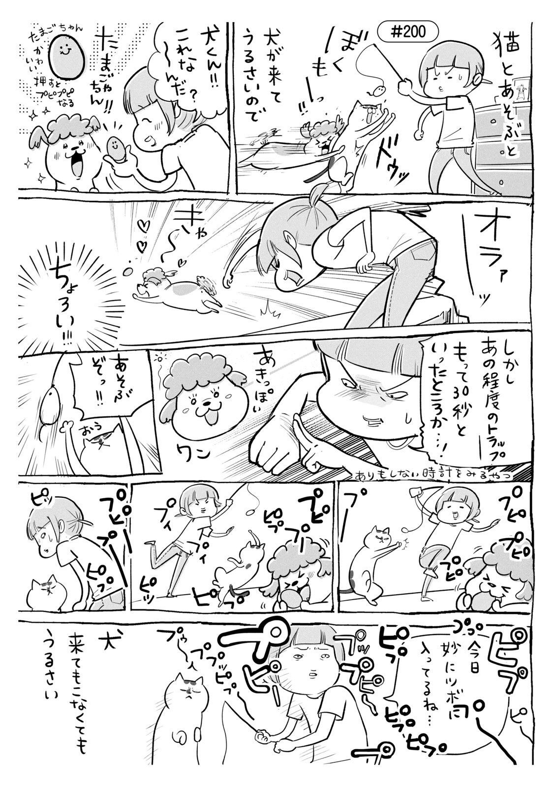 P40