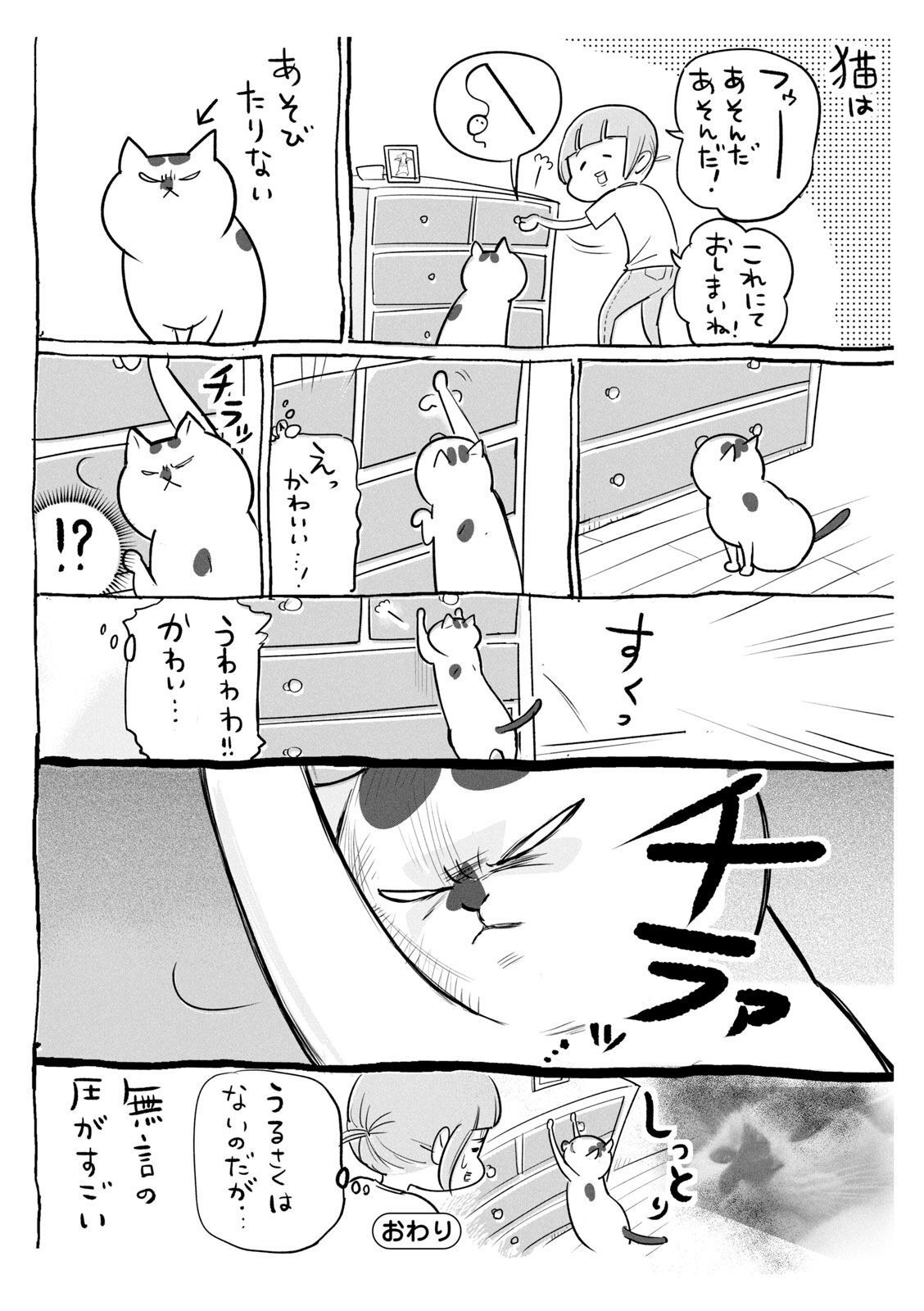 P41