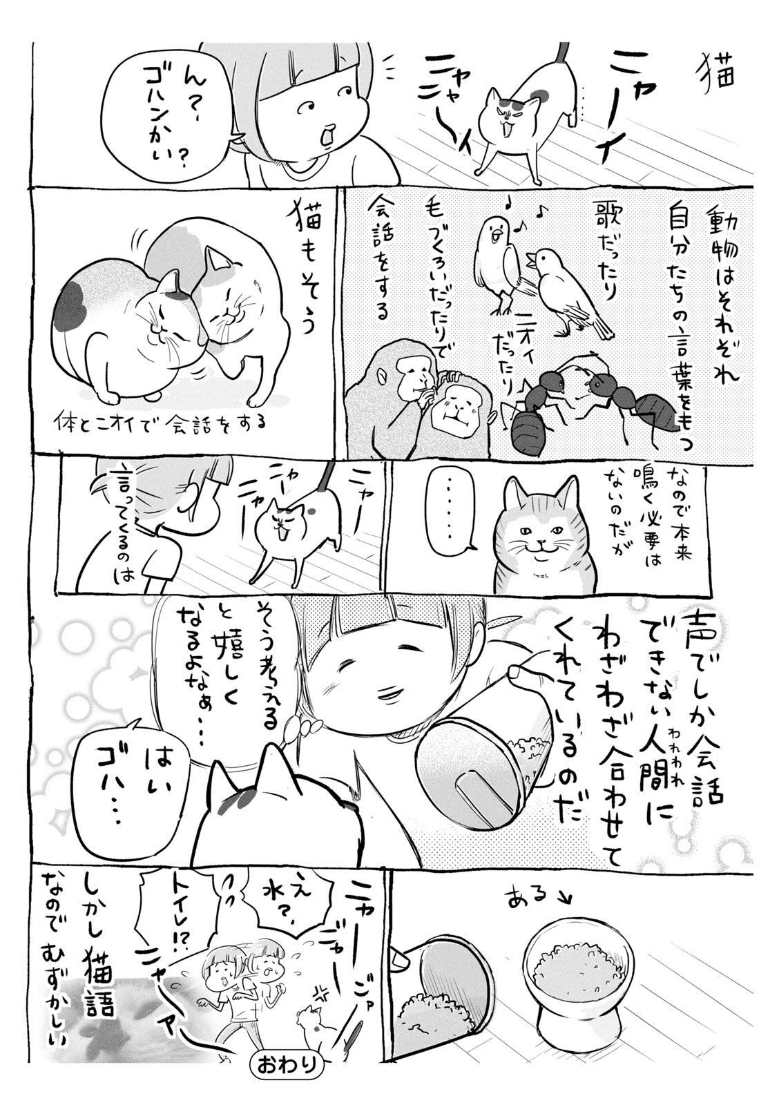 P43