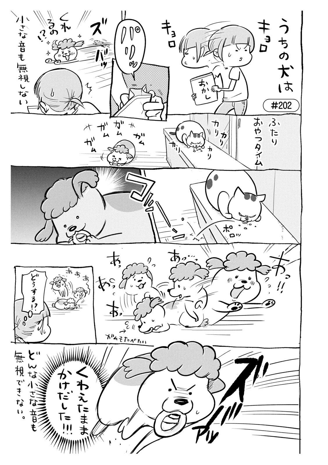 P46