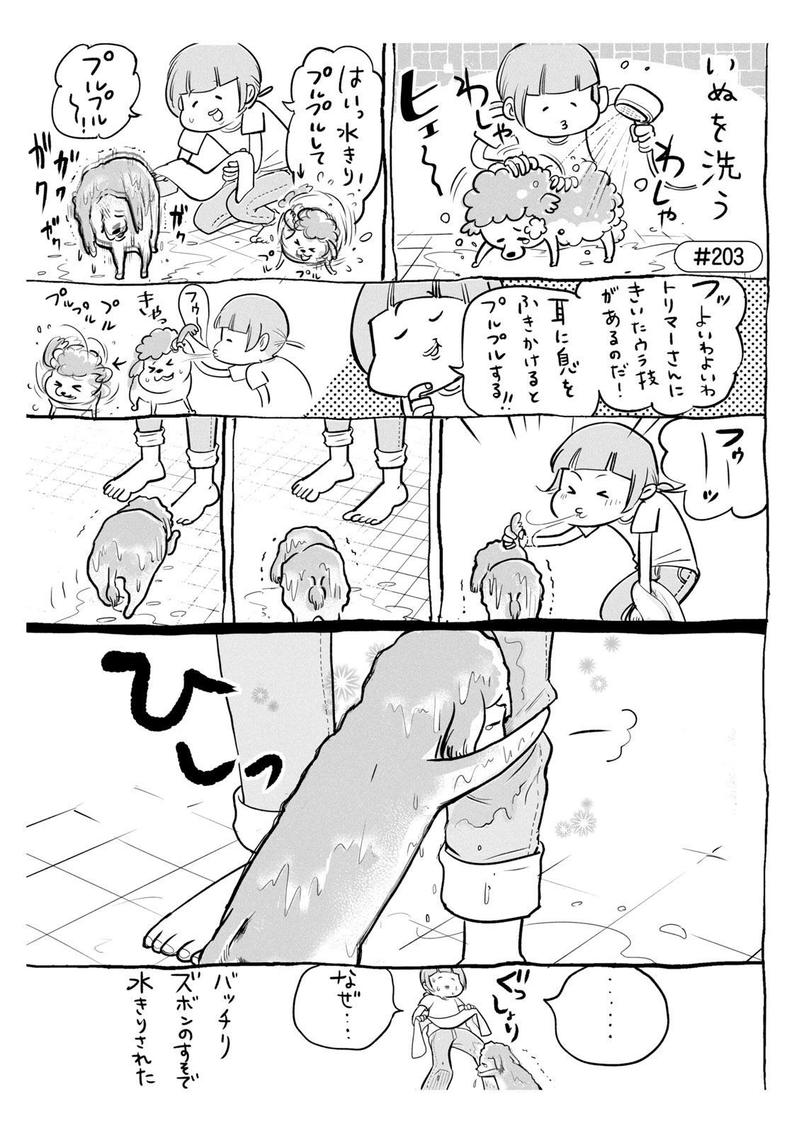 P48