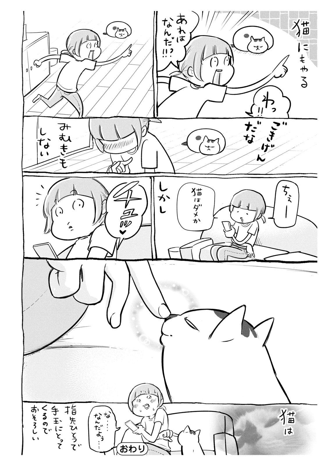 P51