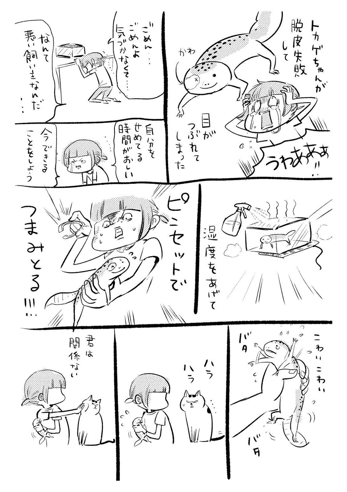 P35