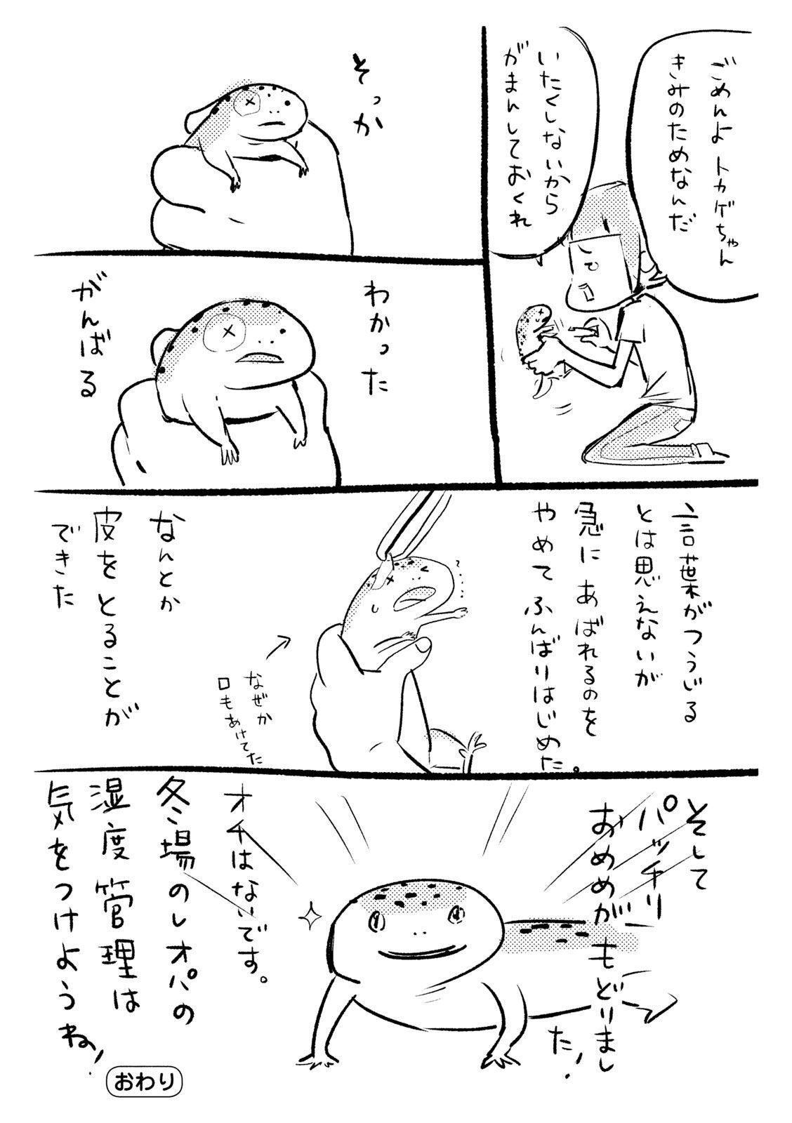 P36