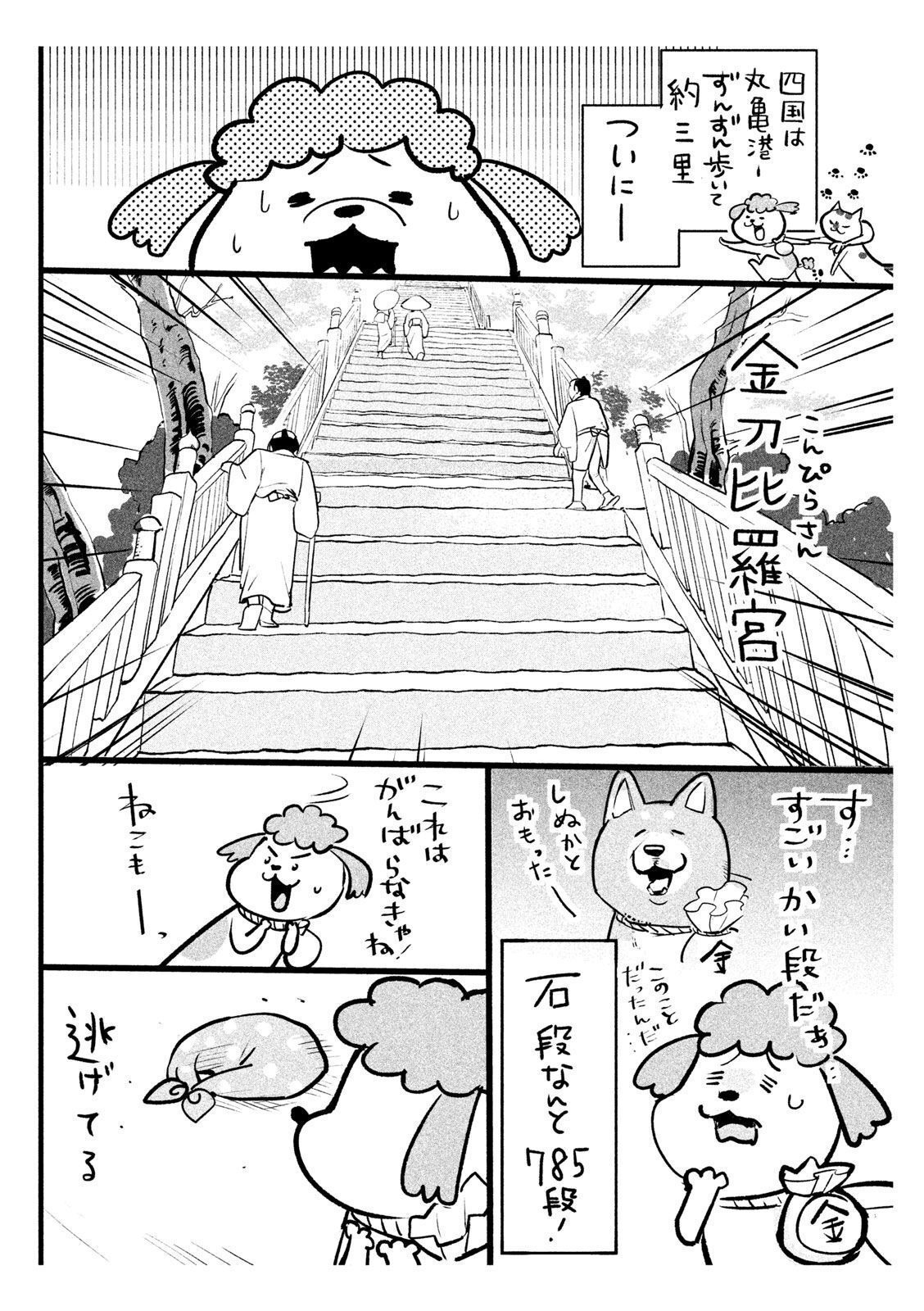 P46