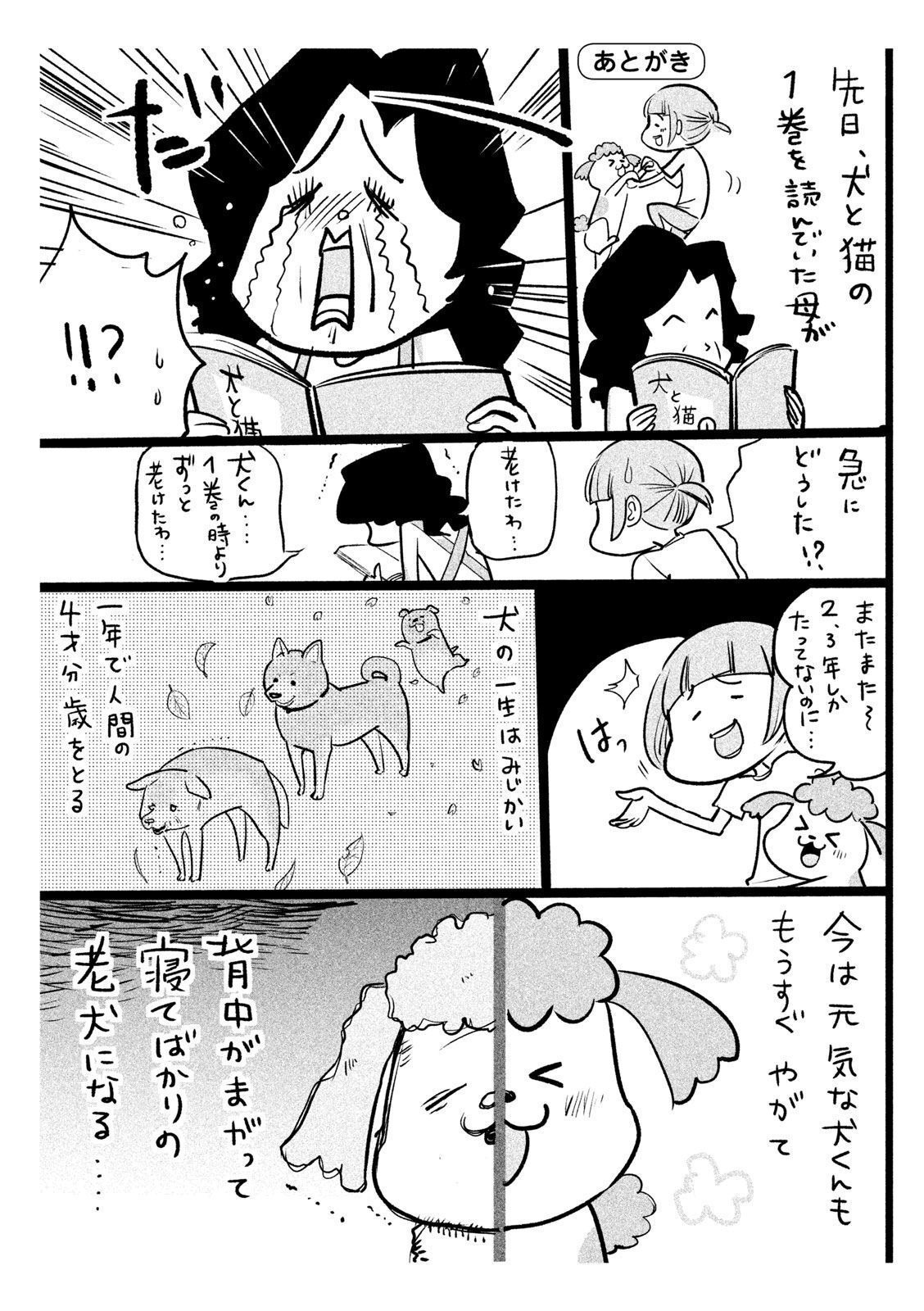 P51