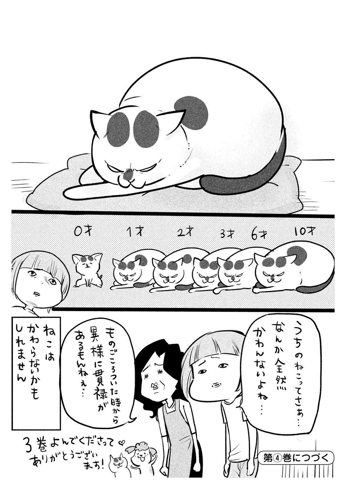 P53