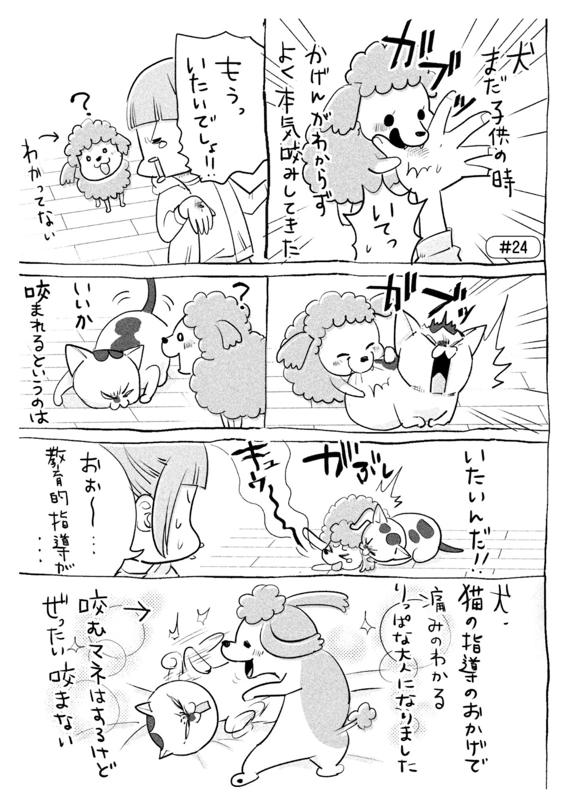 P12