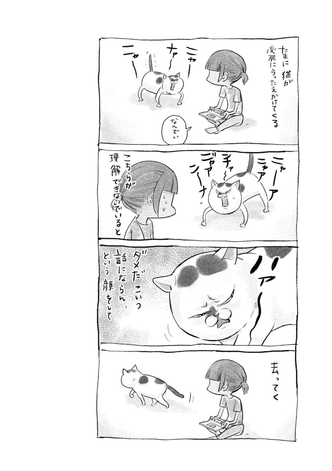 P41