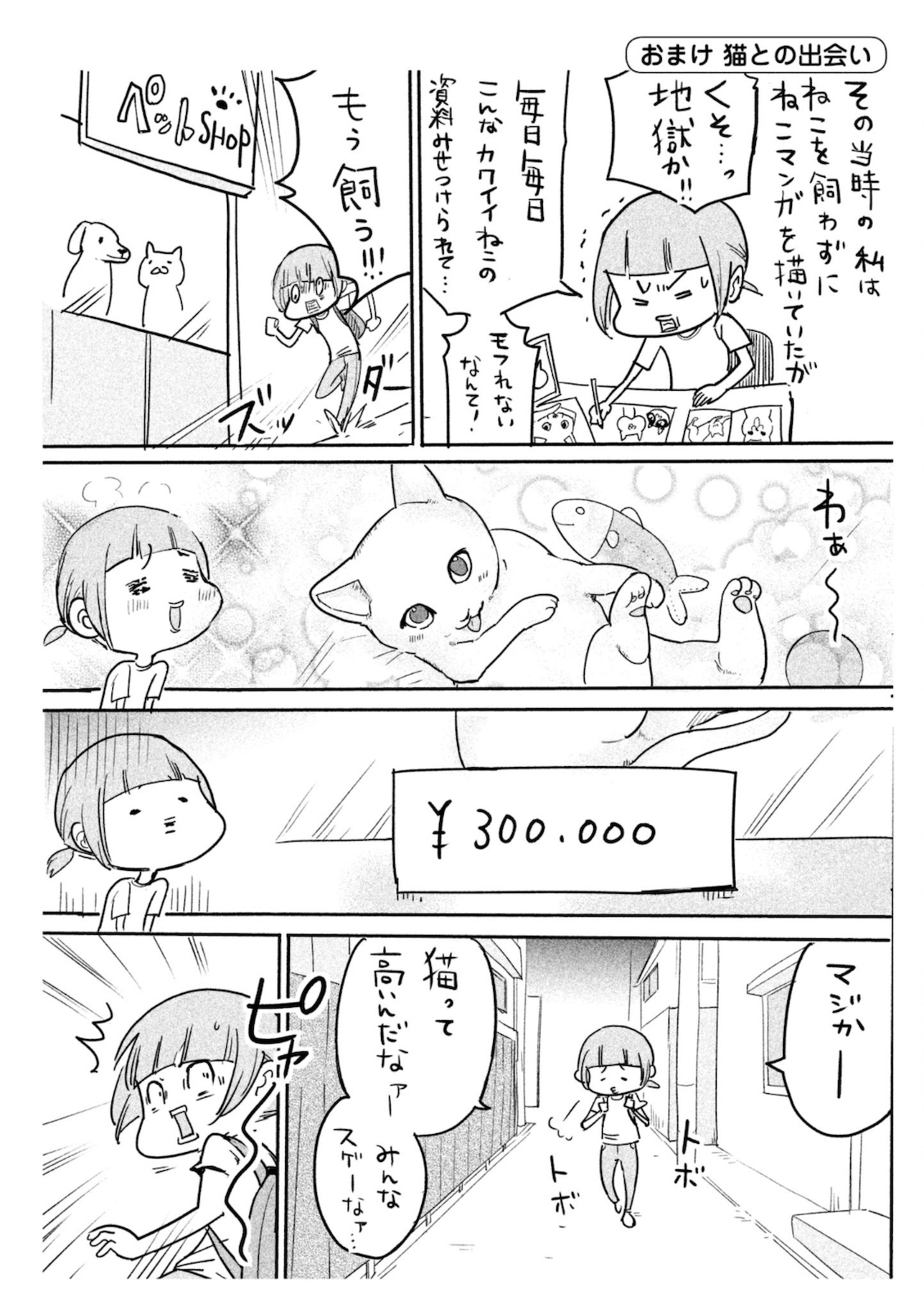 P51