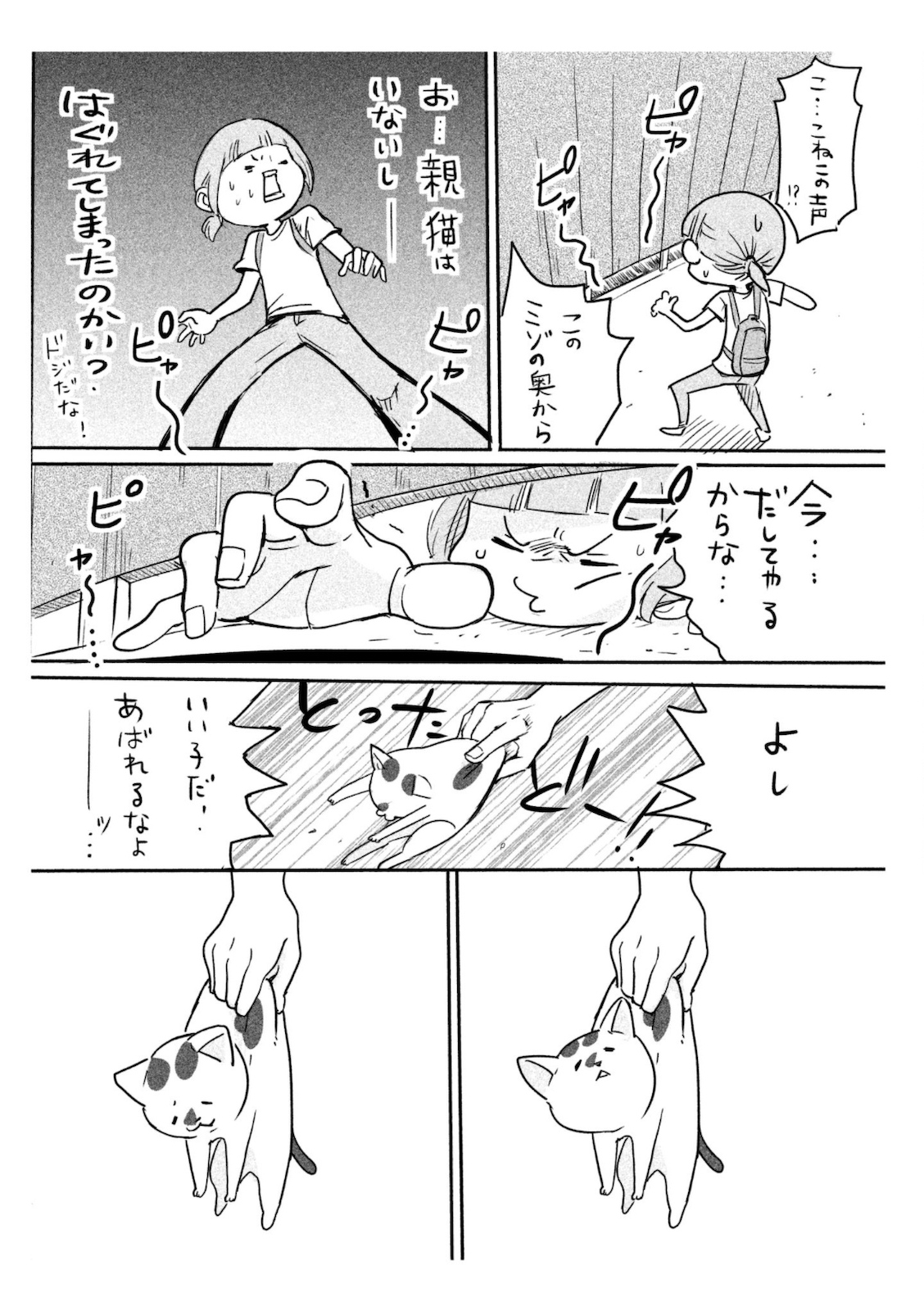 P52
