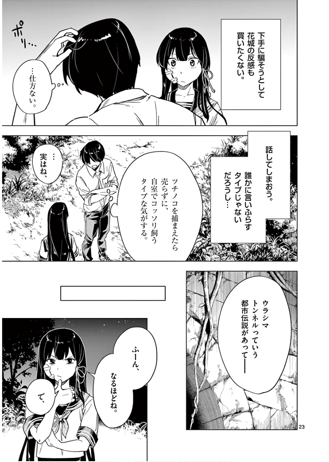 P23