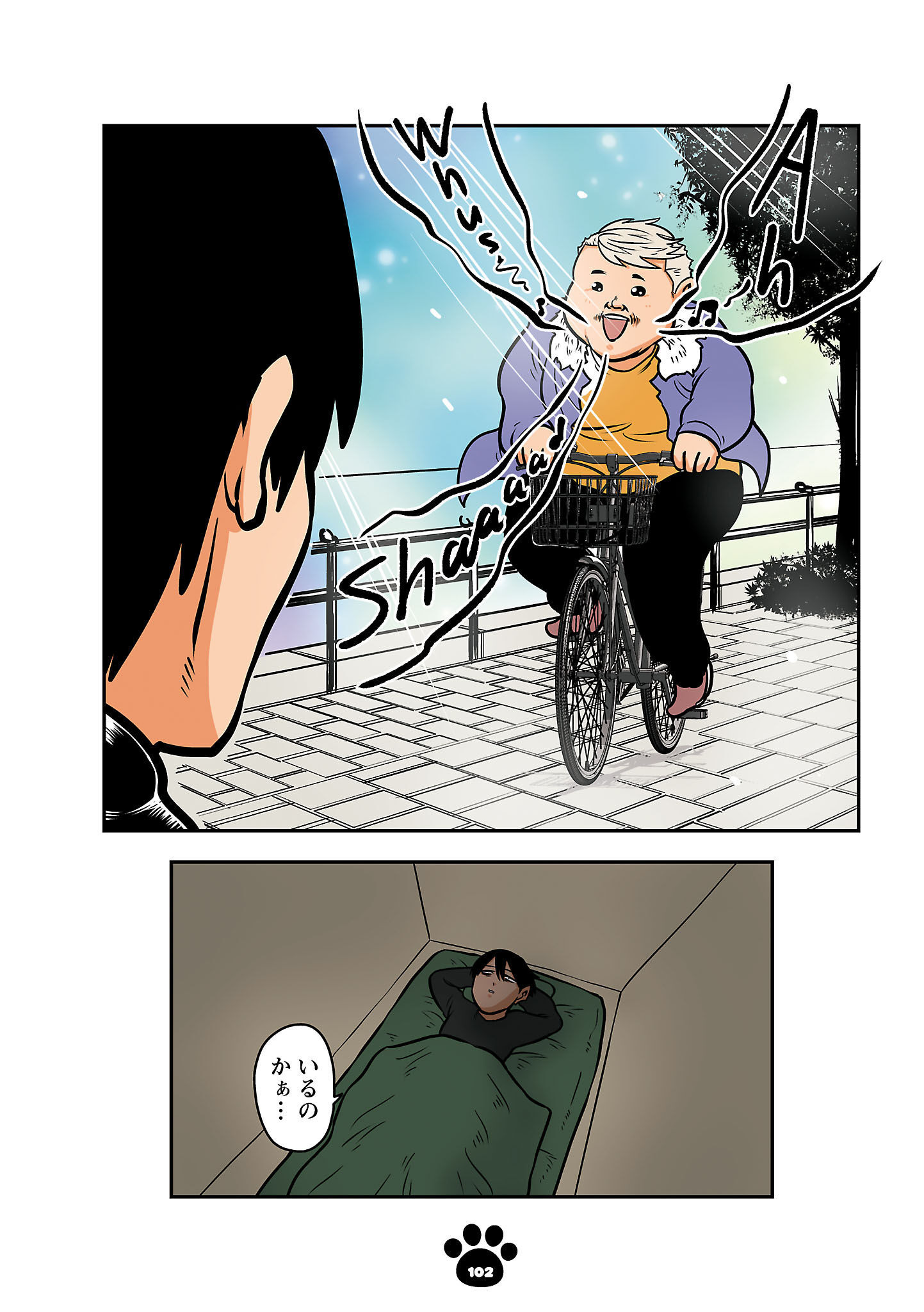 P6