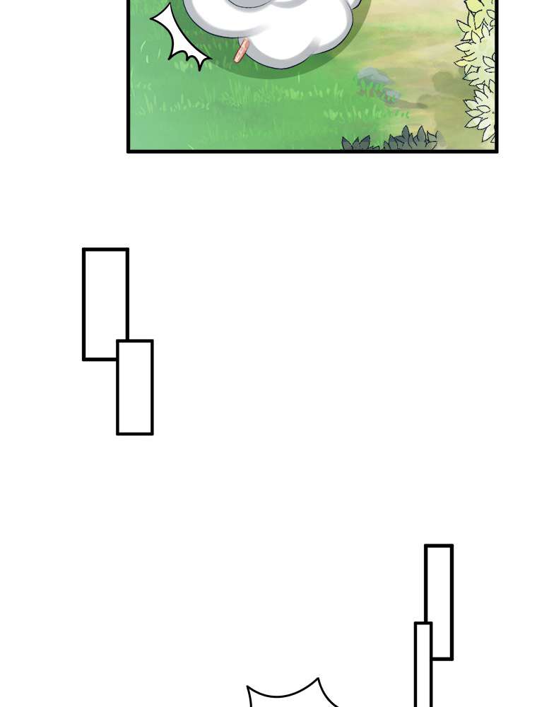 P44