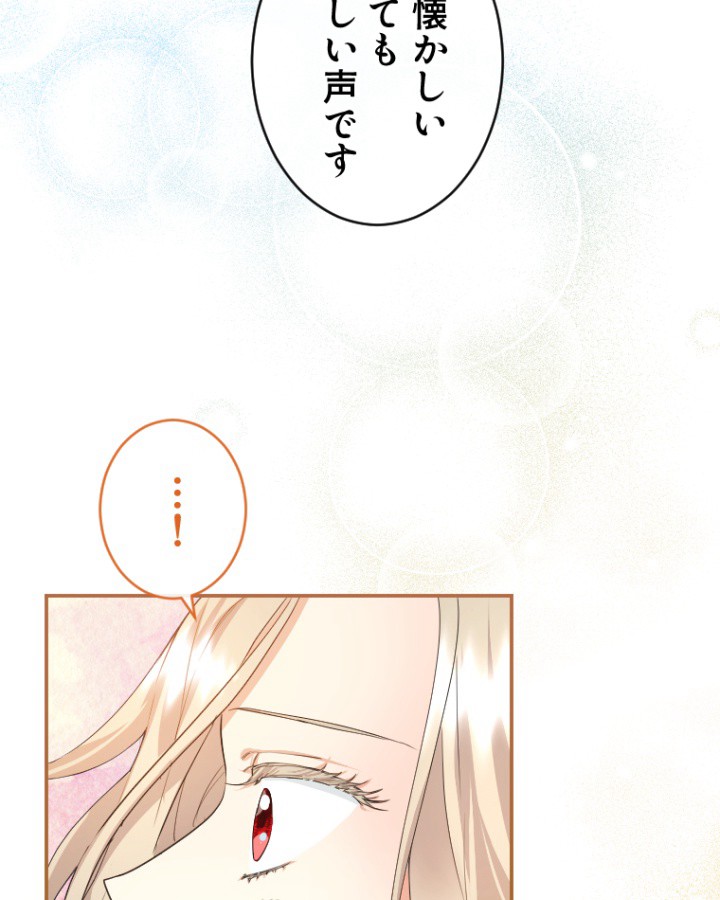P66