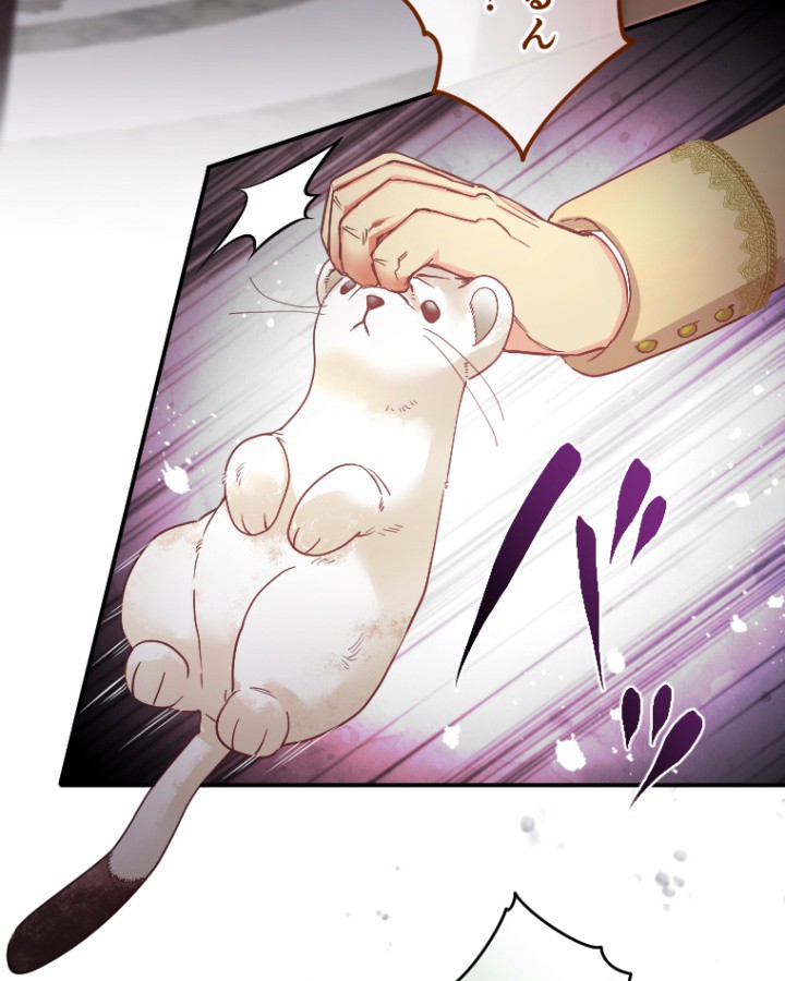 P116
