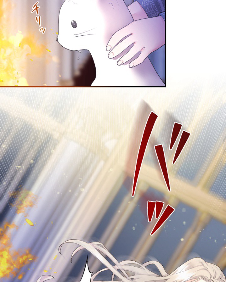 P66