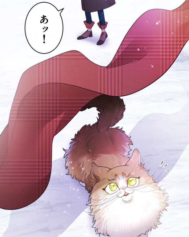 P57