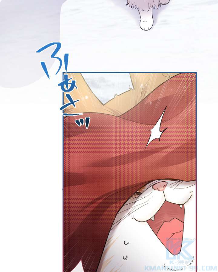 P58