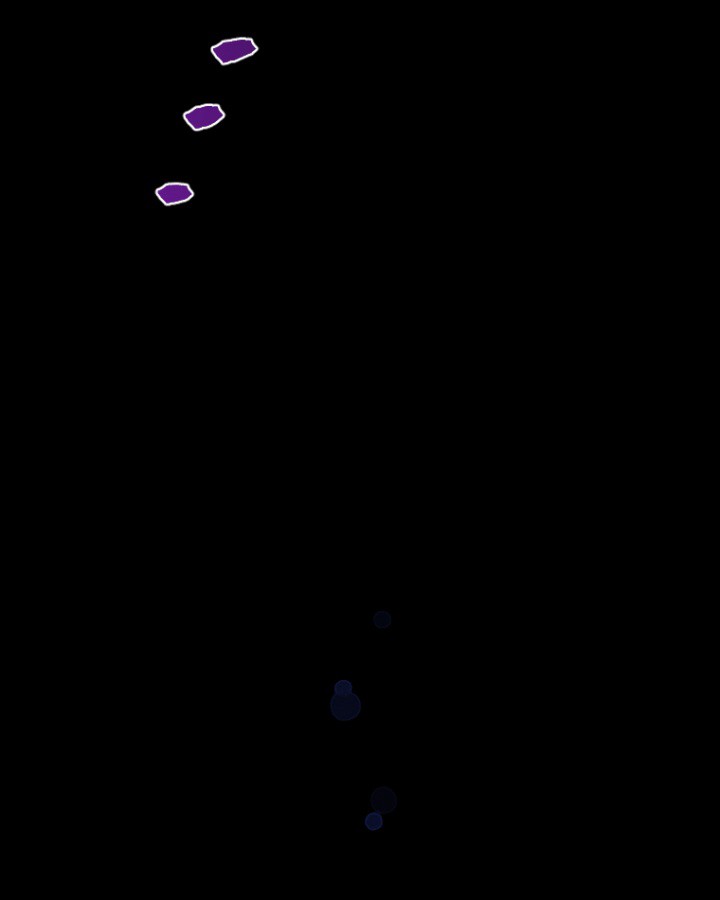 P84