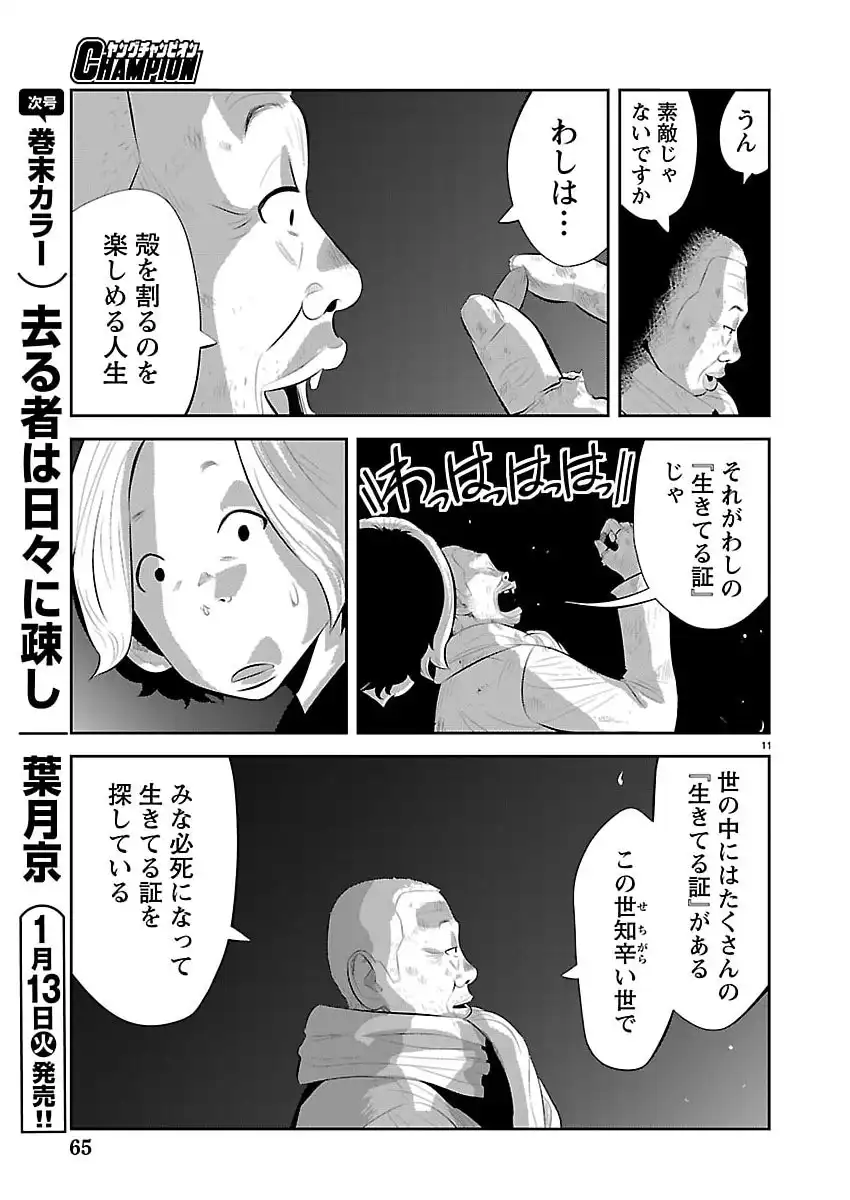 P11