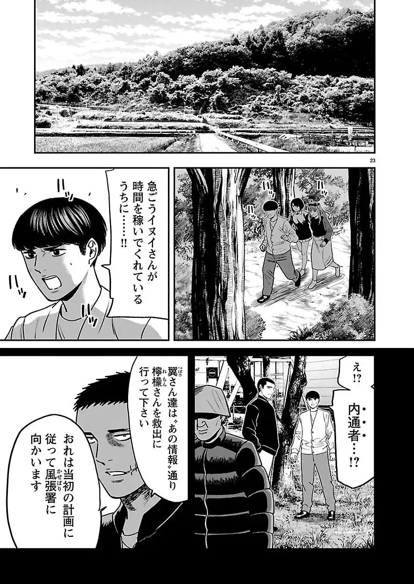 P23