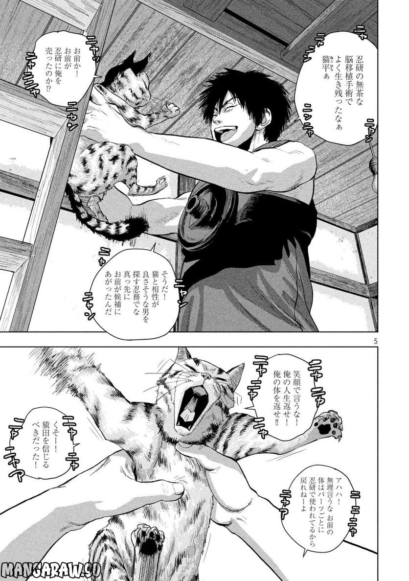 P25