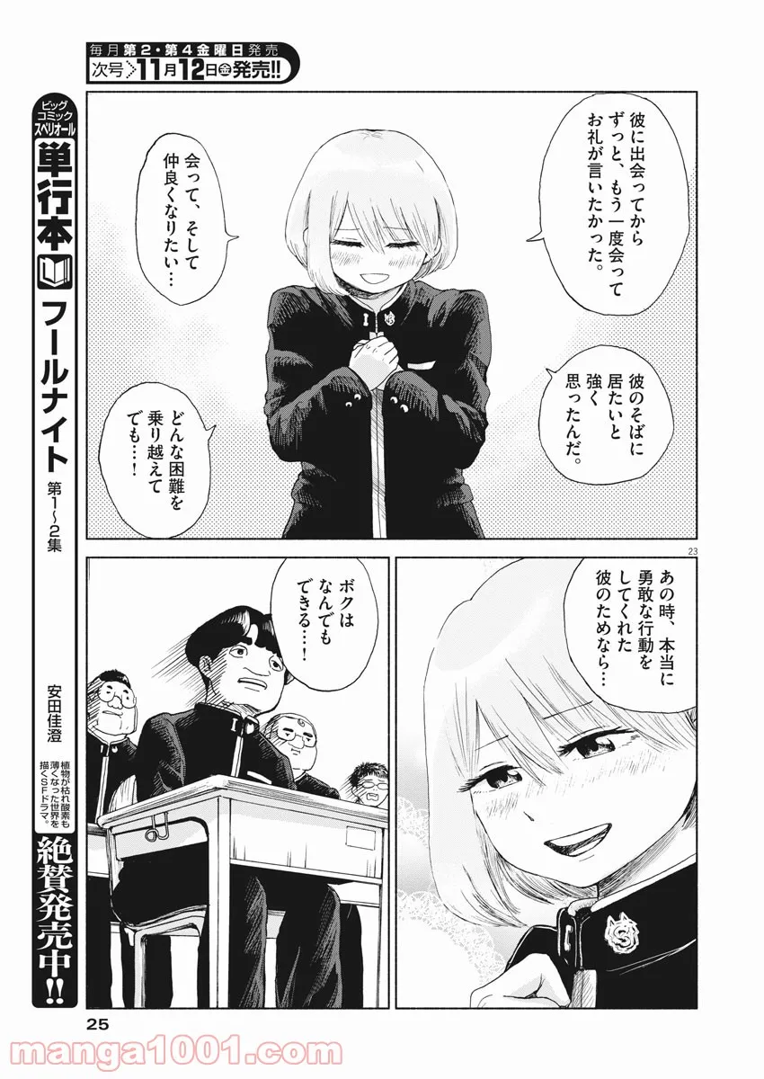 P23