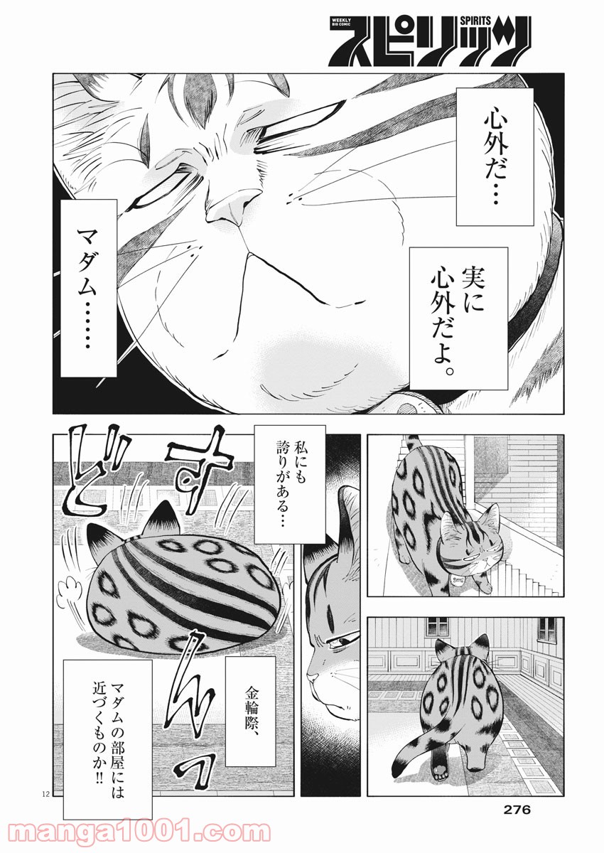 P11