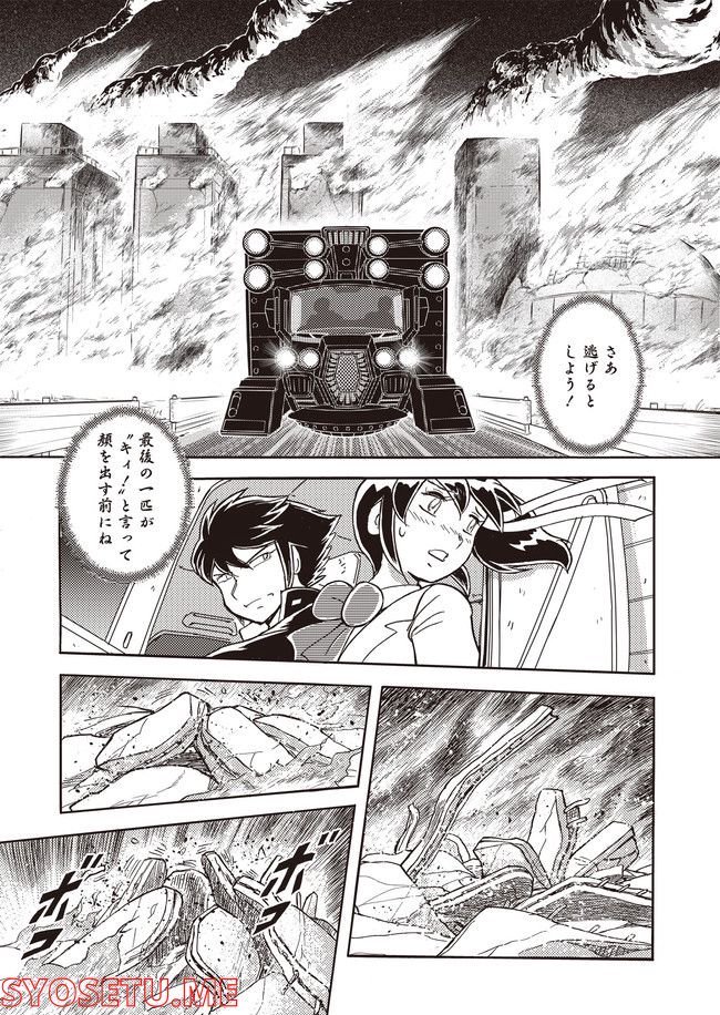 P29