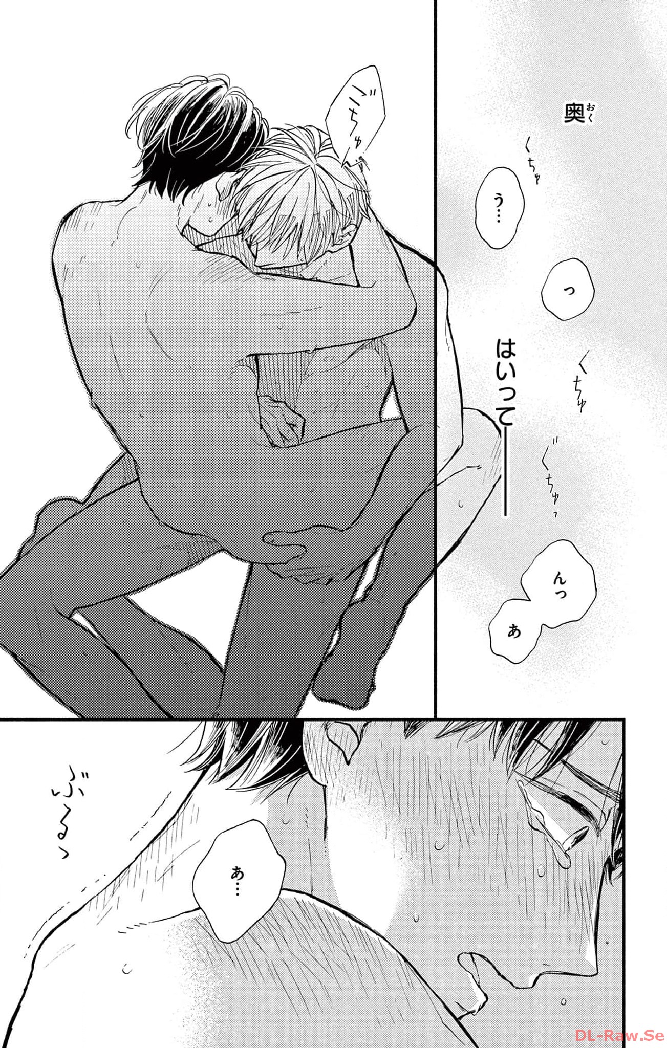 P41