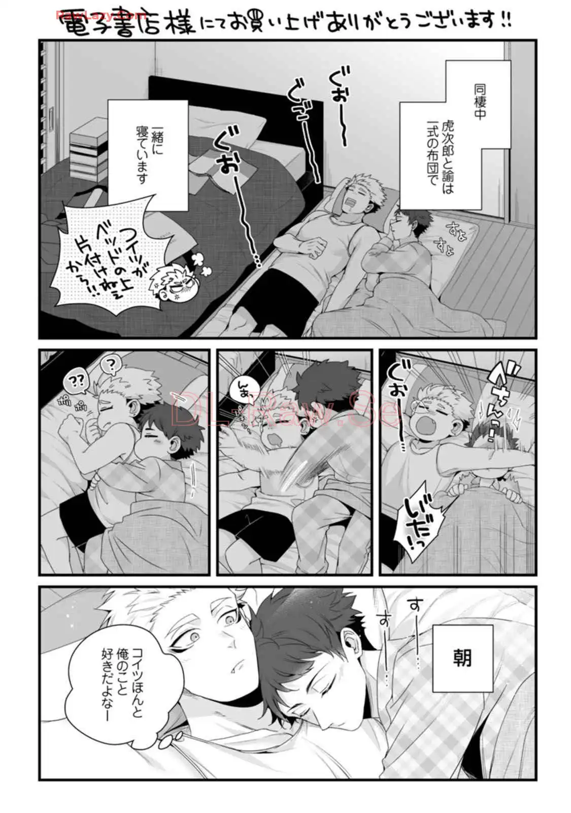 P31