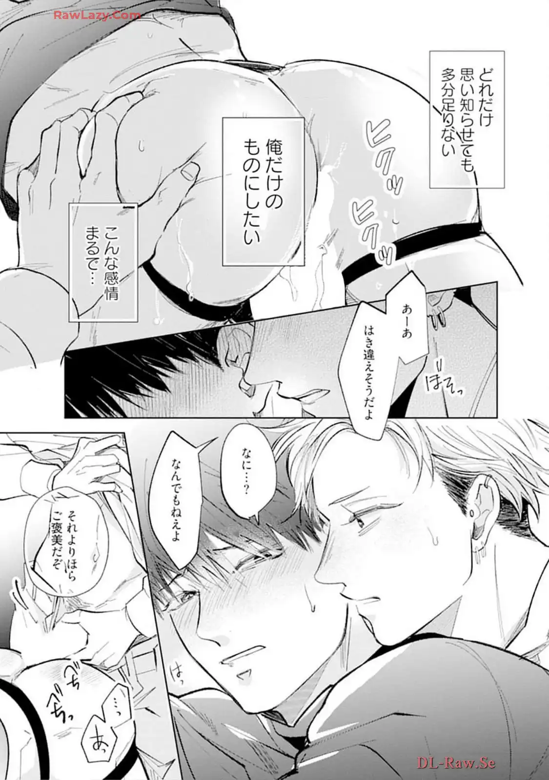 P41