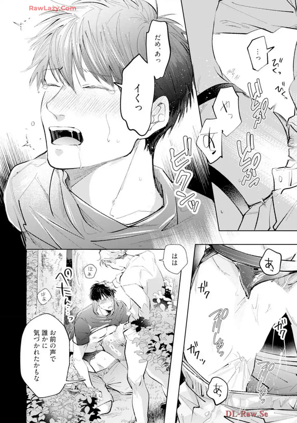 P44
