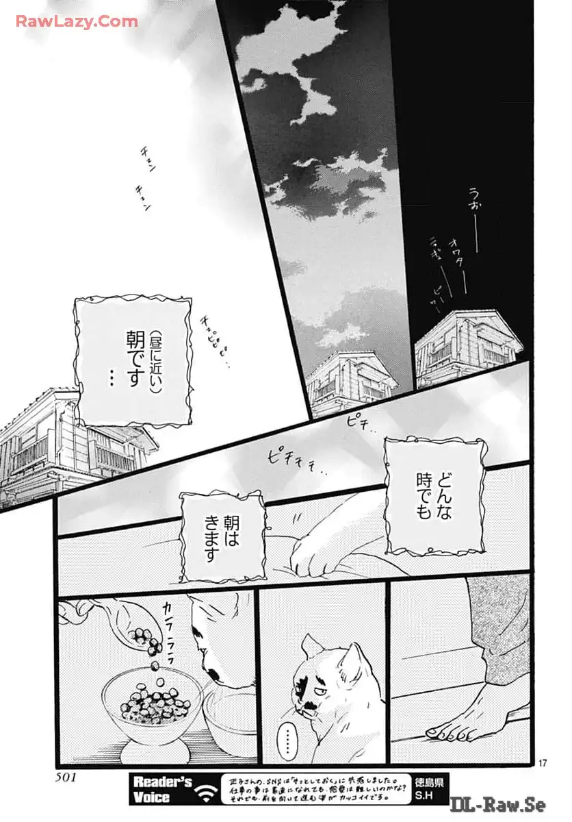 P17