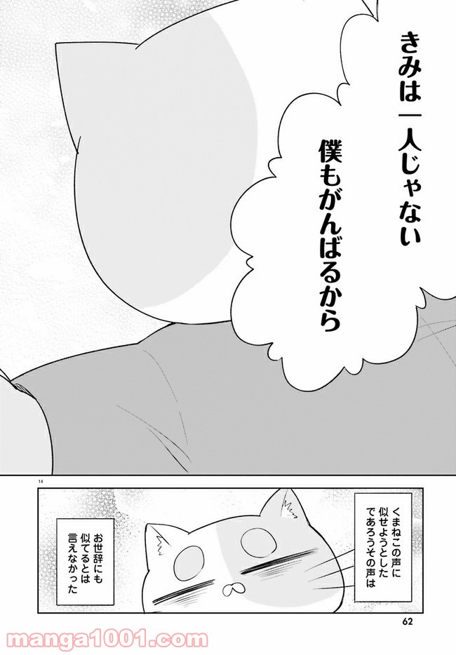 P14