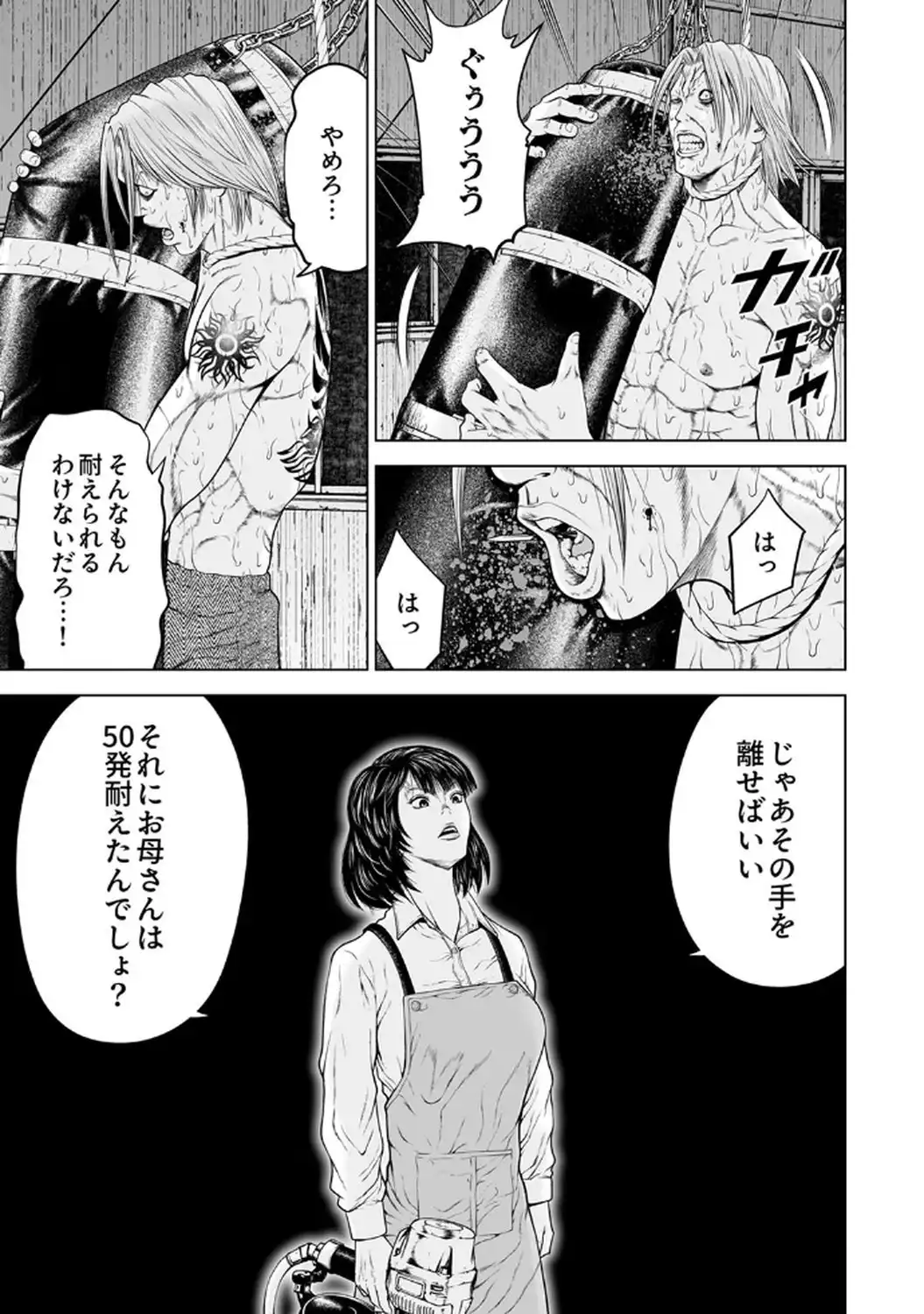 P31