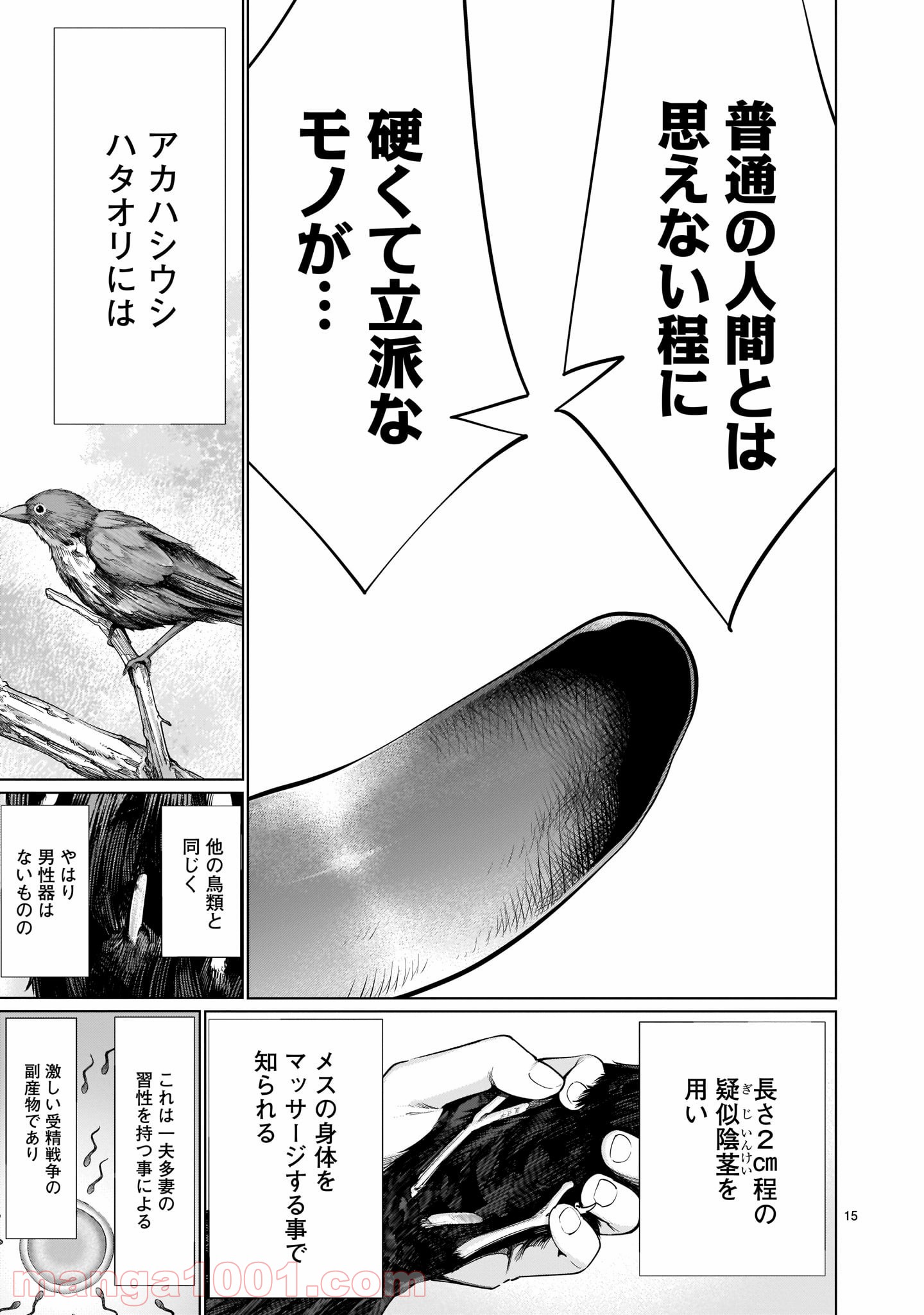P15