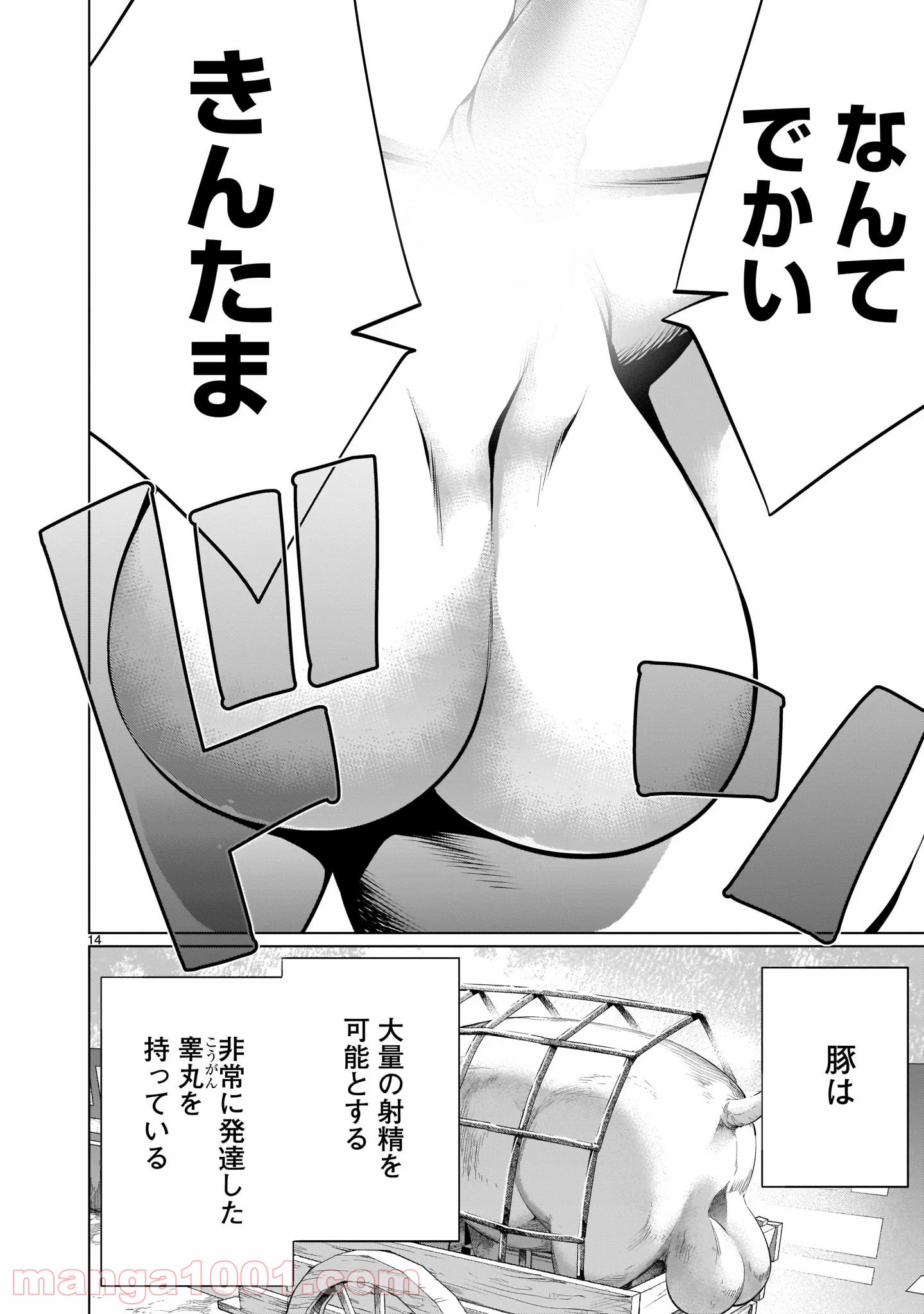 P12